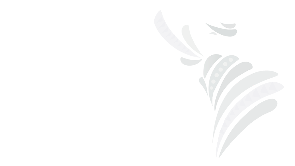 Congreso Alop 2025